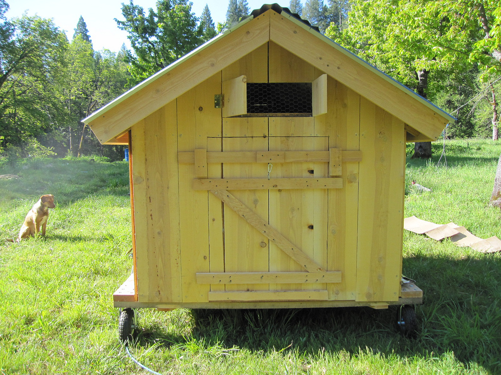 Chicken Coop Insulation and Ventilation Options
