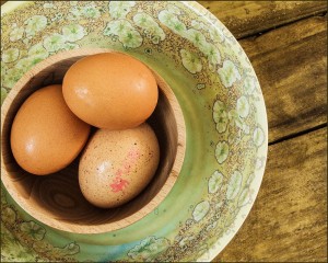How Chicken Eggs Are Formed - ChickenCoopGuides.com