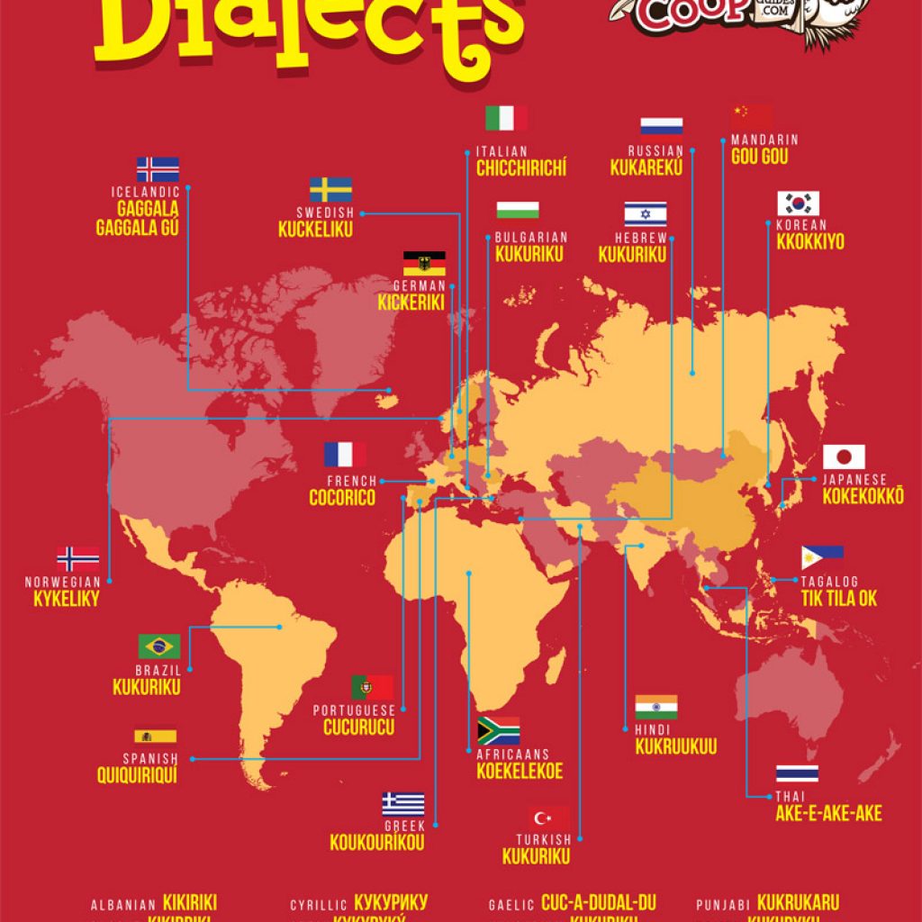 Rooster Dialects Around the World [INFOGRAPHIC] - DIY Chicken Coop Plans